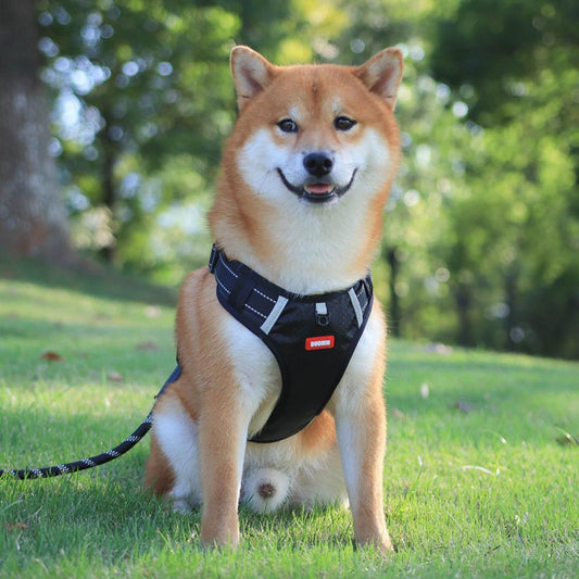 EasyStride Reflective No-Pull Harness