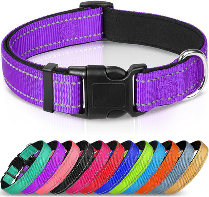 GlowTrail Reflective Safety Collar - Purple