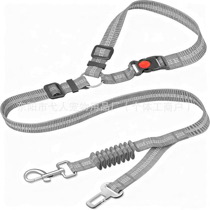 SafeRide 2-Point Car Safety Belt - Grey