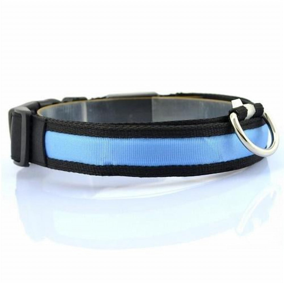 Blue collar with black trim, buckle and a metal D-ring on a white background.