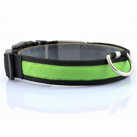 GlowTrail LED Safety Collar (USB)