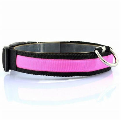 GlowTrail LED Safety Collar (USB)