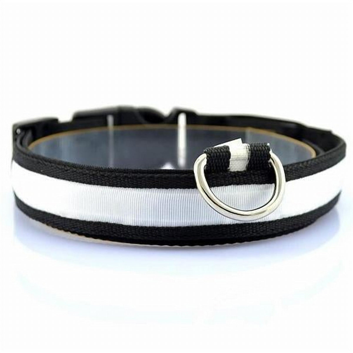 GlowTrail LED Safety Collar (USB)