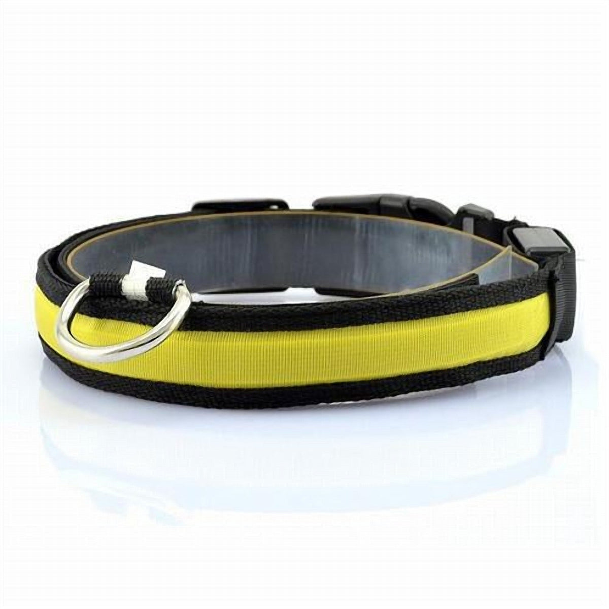 GlowTrail LED Safety Collar (USB)