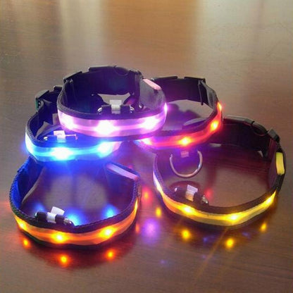 GlowTrail LED Safety Collar (USB)