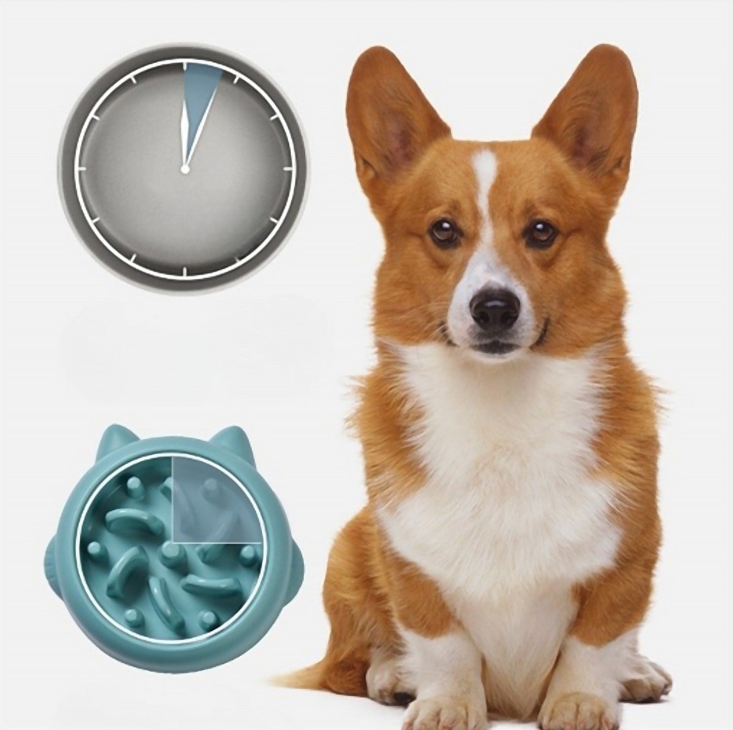 SlowMunch Fun-Shape Slow Feeder