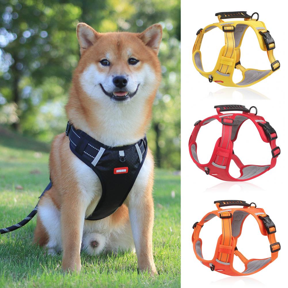 EasyStride reflective harness on dog with yellow red and orange color options