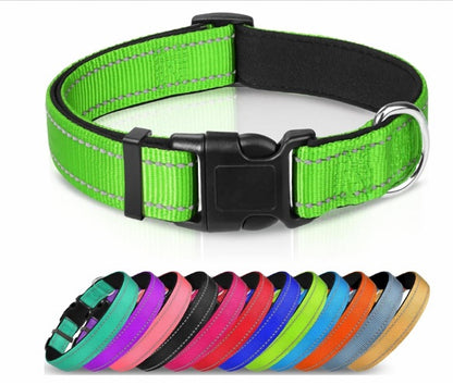 GlowTrail Reflective Safety Collar