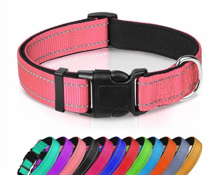 GlowTrail Reflective Safety Collar