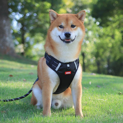 EasyStride Reflective No-Pull Harness