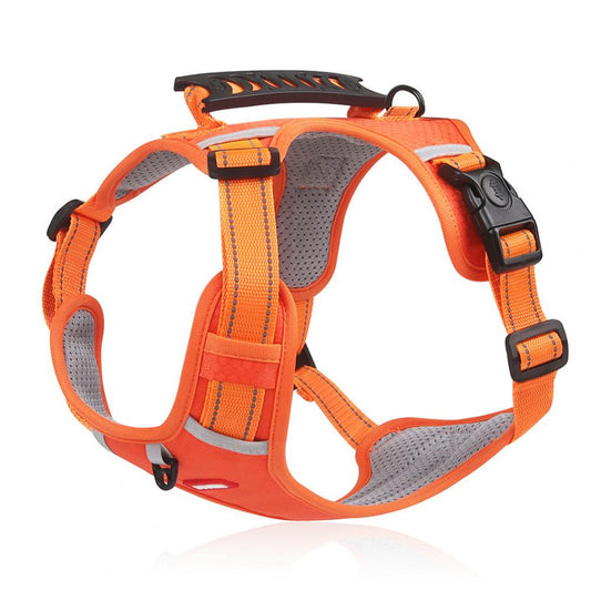 Orange no-pull dog harness with padded mesh lining, front D-ring, and top handle, on a white background.