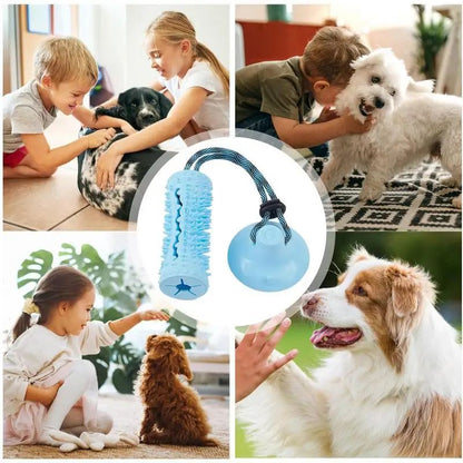 TugAnchor Suction Tug & Treat Toy