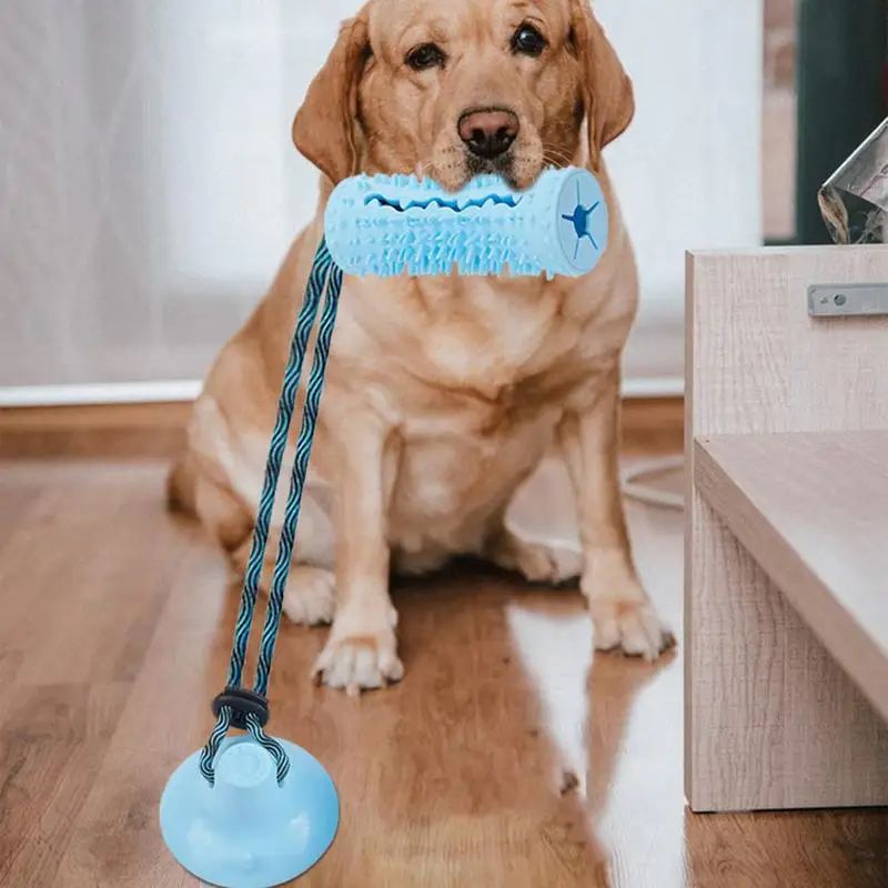 TugAnchor Suction Tug & Treat Toy