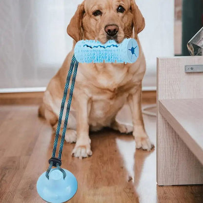 TugAnchor Suction Tug & Treat Toy