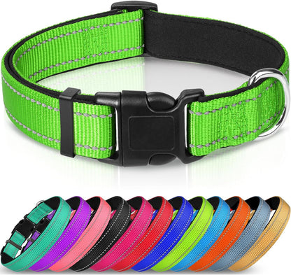 GlowTrail Reflective Safety Collar
