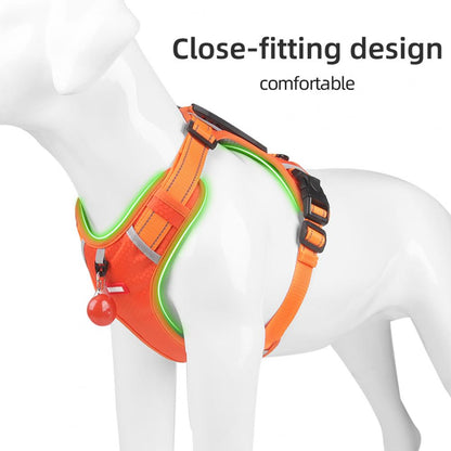 EasyStride Reflective No-Pull Harness
