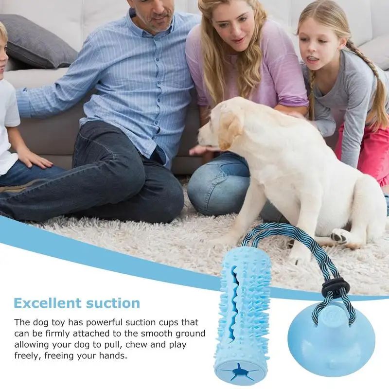 TugAnchor Suction Tug & Treat Toy