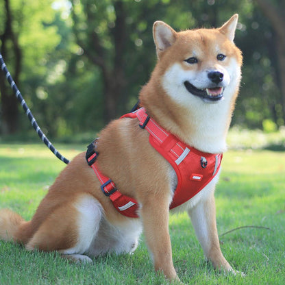 EasyStride Reflective No-Pull Harness