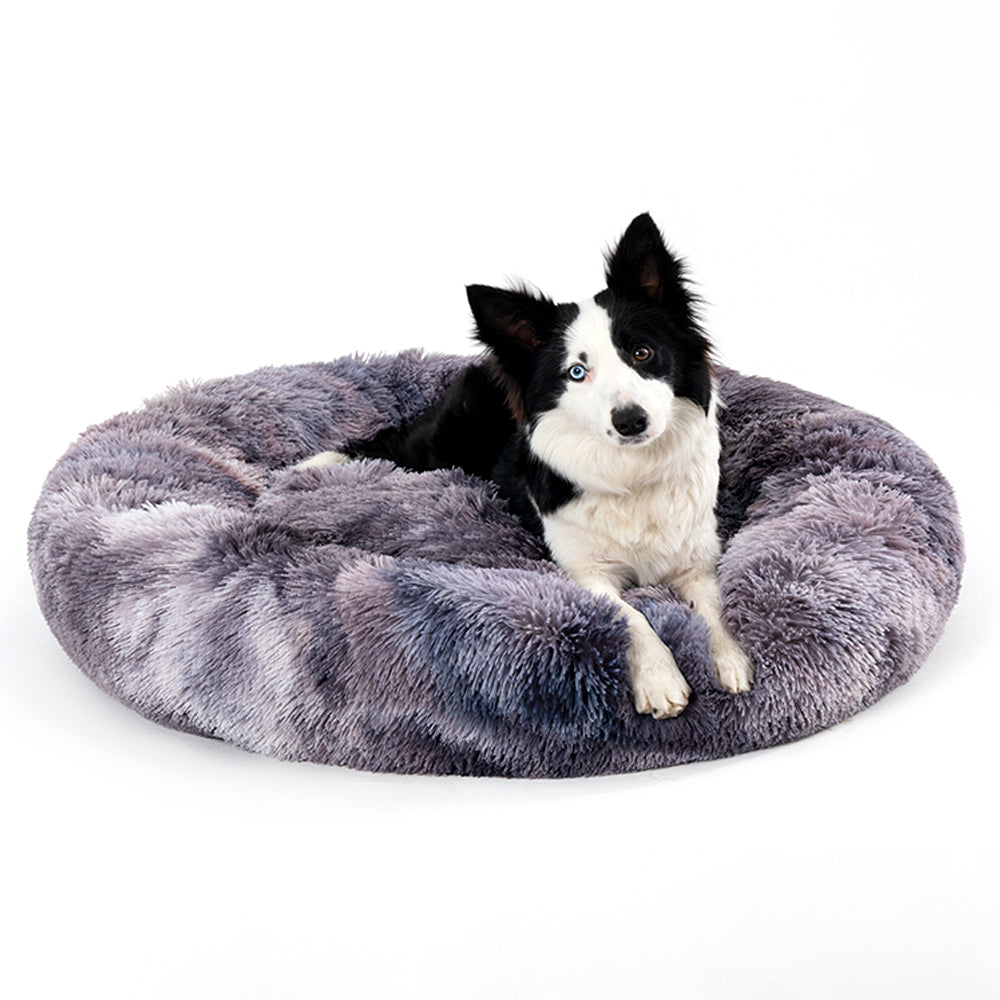 Border collie relaxing in grey SnuggleRing fluffy donut bed, in-use lifestyle photo