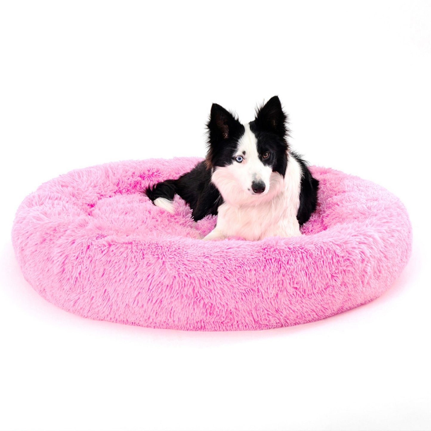 Border collie relaxing in pink SnuggleRing fluffy donut bed, in-use lifestyle photo