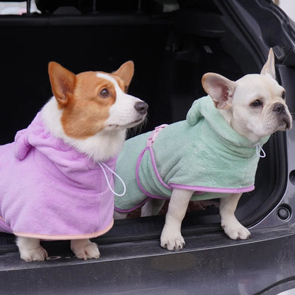 Corgi and French bulldog wearing SnugRobe bathrobes in lavender and mint, in-use lifestyle photo
