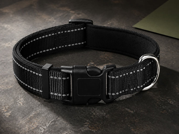 GlowTrail Reflective Collar